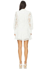 Remy Embroidered Mini Dress