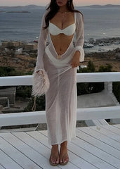 Sheer Knit Long Sleeve Maxi Dress