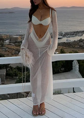 Sheer Knit Long Sleeve Maxi Dress